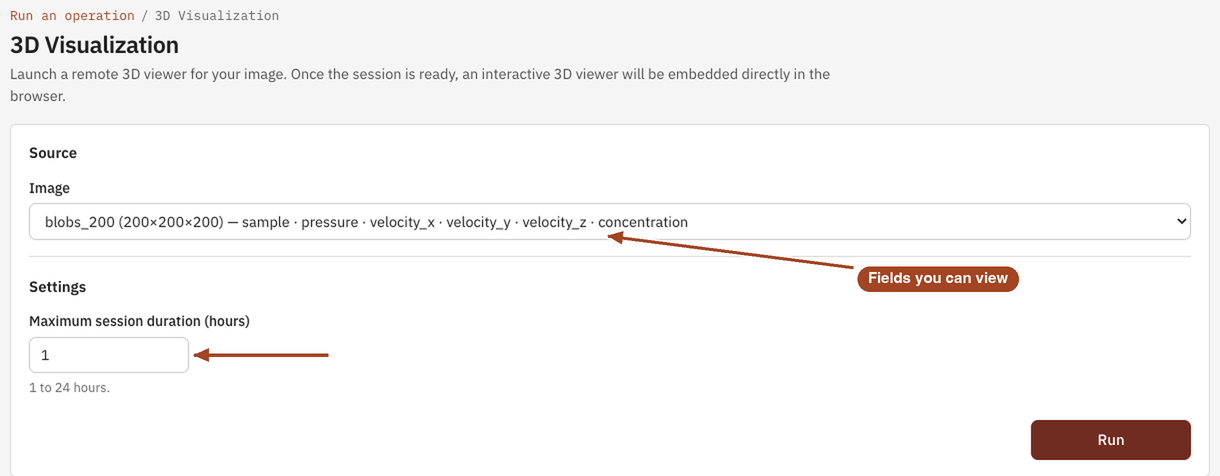 The 3D Visualization launch form with an image chosen and a one-hour maximum session.