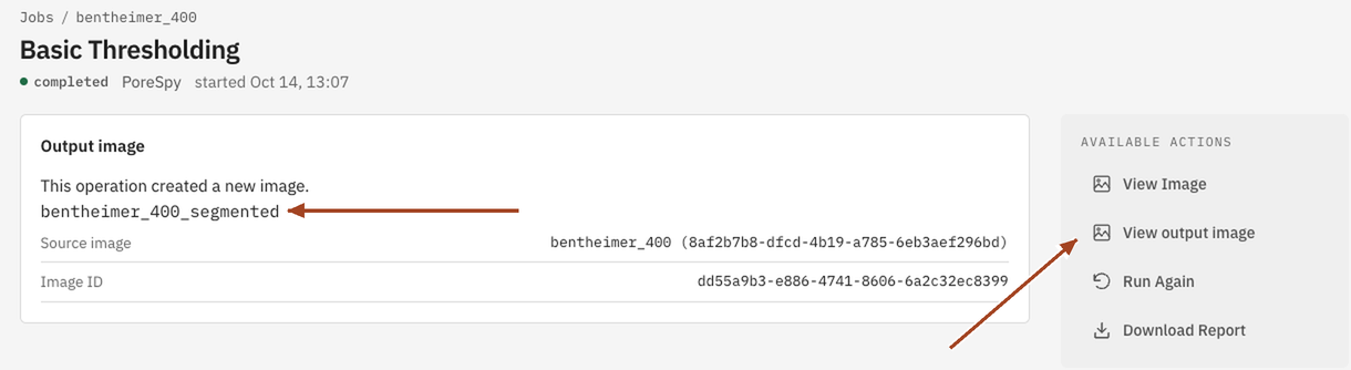 A completed Basic Thresholding job showing its new binary image.