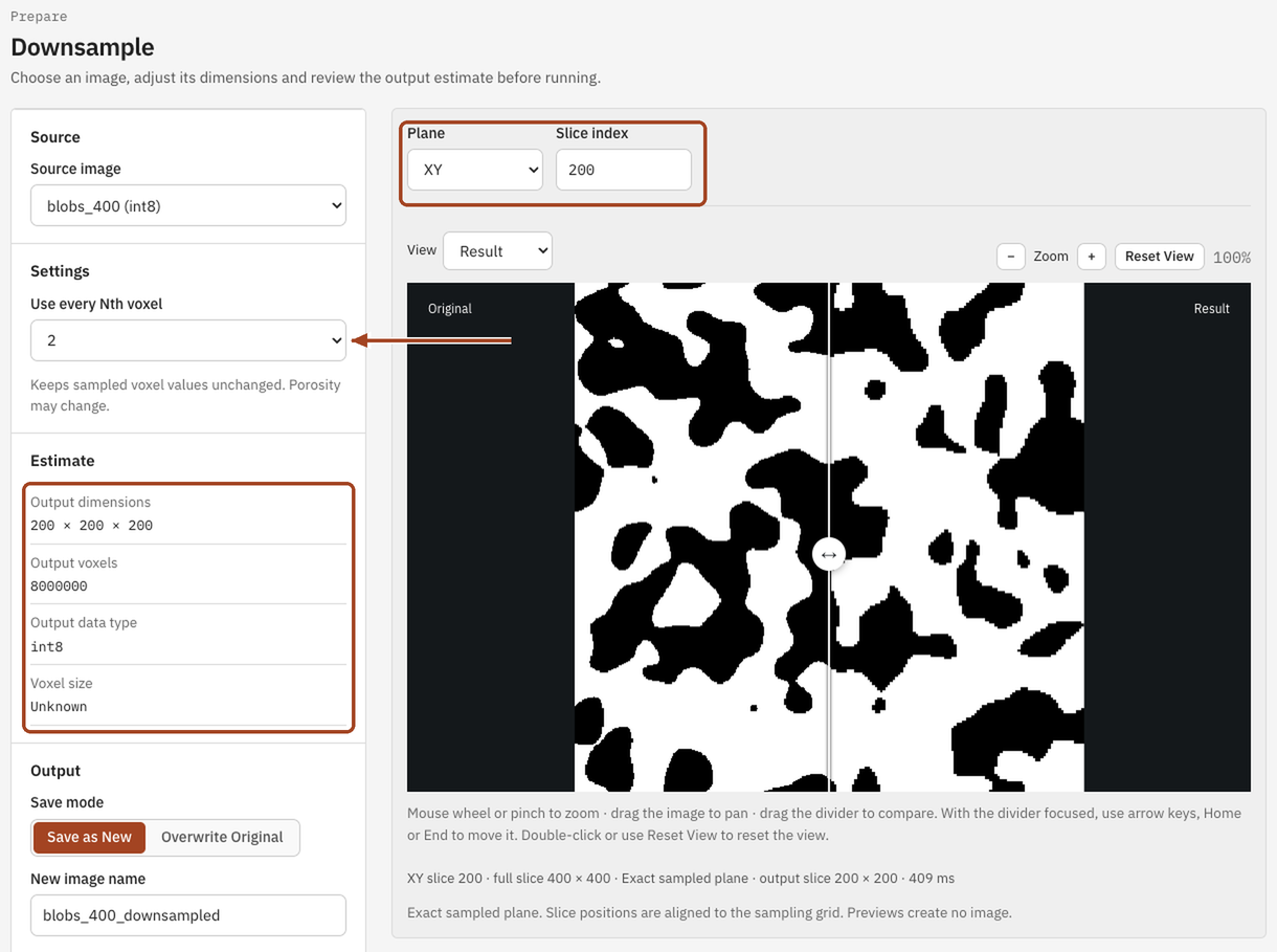The Downsample page with a factor of 2, its output size and a slice preview.