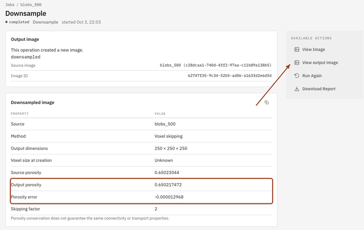 A completed Downsample job with its result table and a link to the new image.