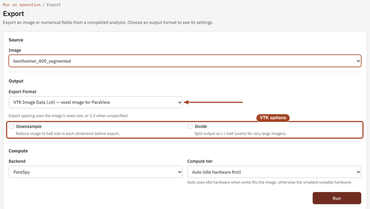 The Export form set to write a VTK image, with its Downsample and Divide options.