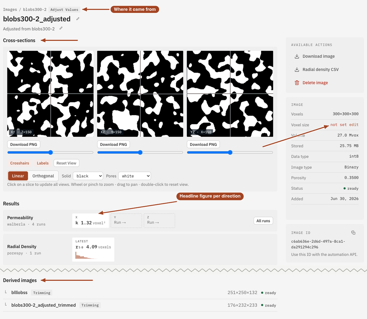 An image's page showing its cross-sections, results by tool and direction, and its voxel size.