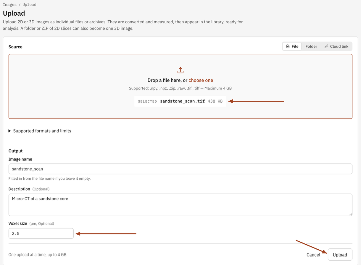 The Upload page with a greyscale TIFF chosen and its voxel size entered.